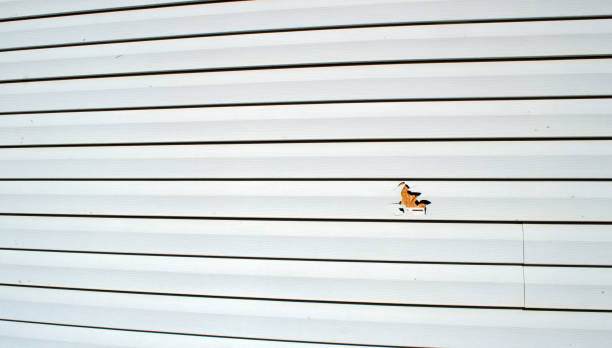 Best Shed Removal  in Flatwoods, KY